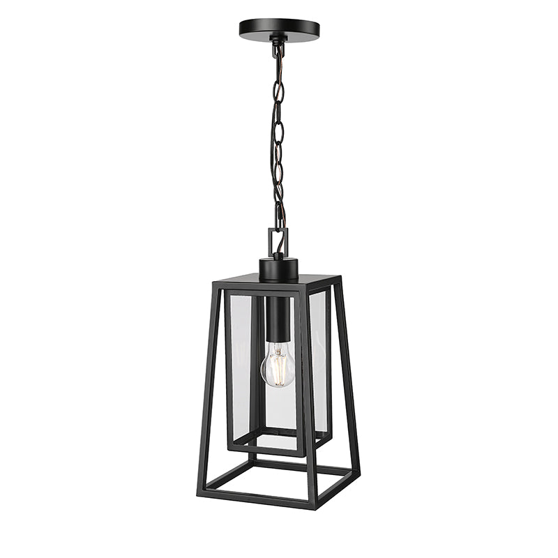 Denzell One Light Outdoor Hanging Lantern