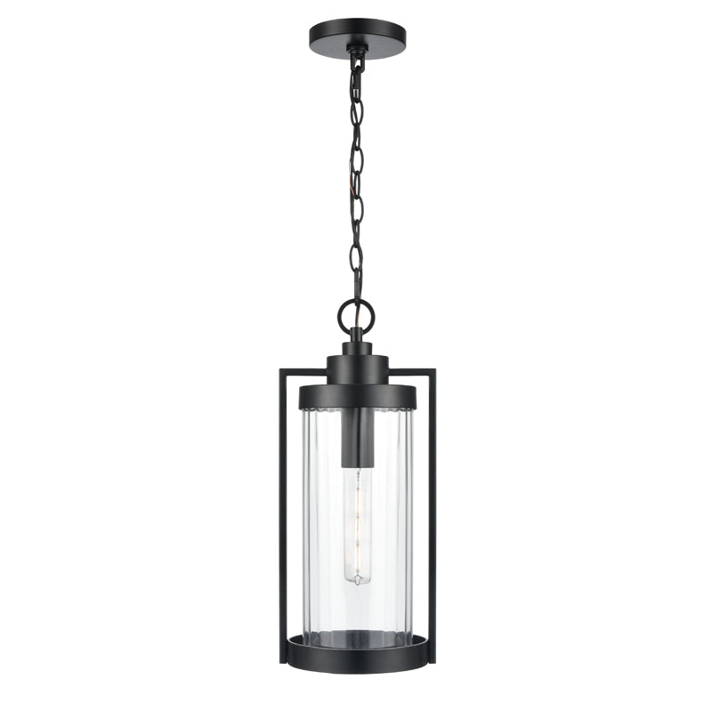 Braselton One Light Outdoor Hanging Lantern