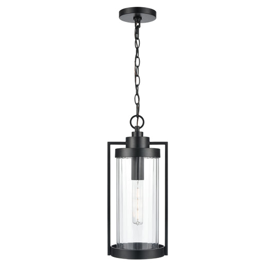 Braselton One Light Outdoor Hanging Lantern