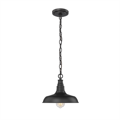 One Light Outdoor Hanging Lantern