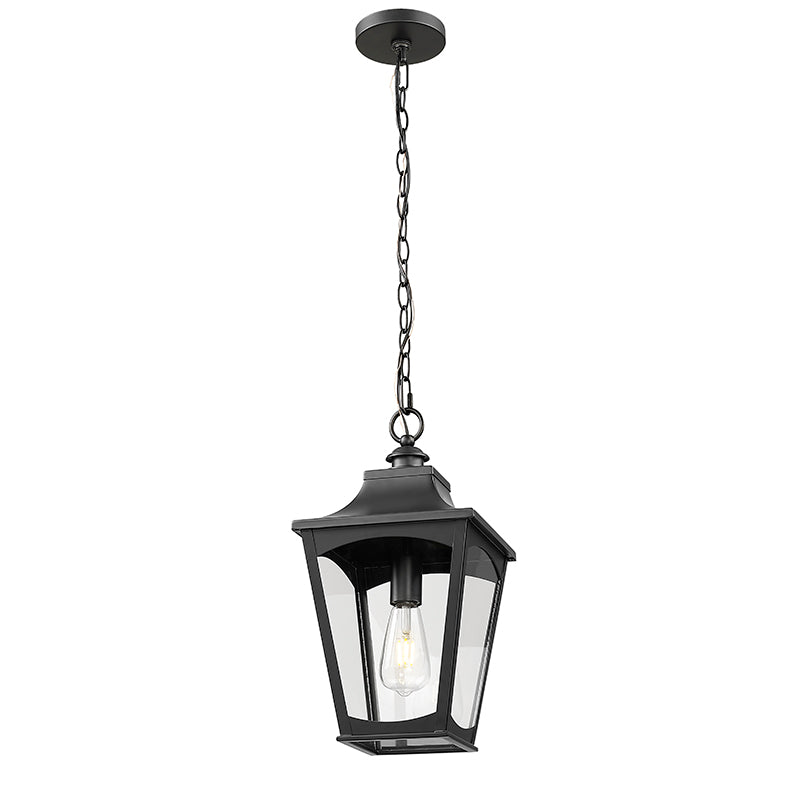 Curry-One Light Outdoor Hanging Lantern