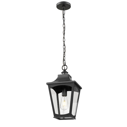 Curry-One Light Outdoor Hanging Lantern