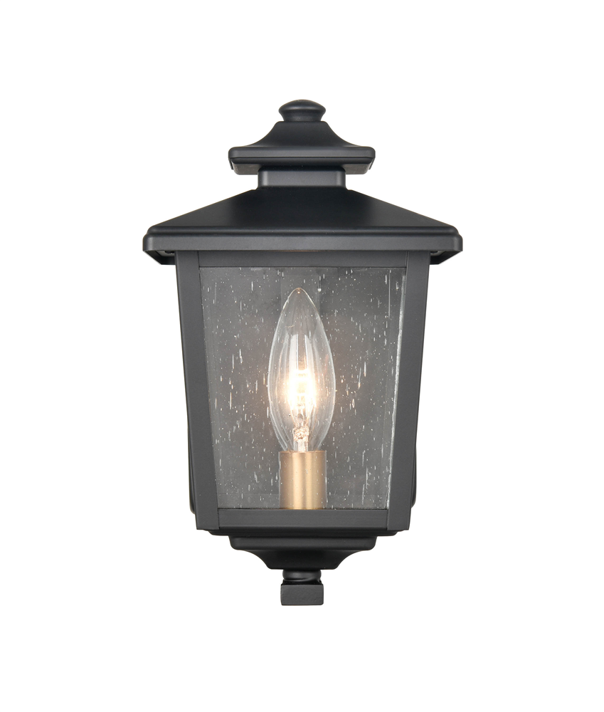 Eldrick One Light Outdoor Hanging Lantern
