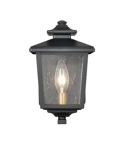 Eldrick One Light Outdoor Hanging Lantern
