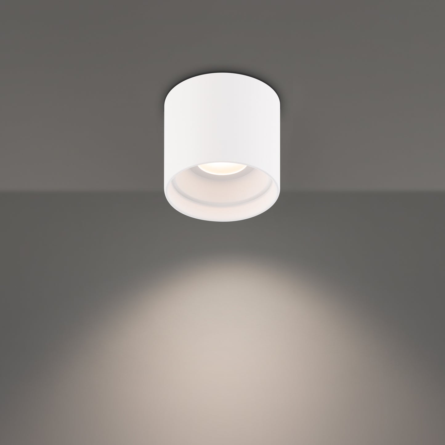 Squat LED Outdoor Flush Mount
