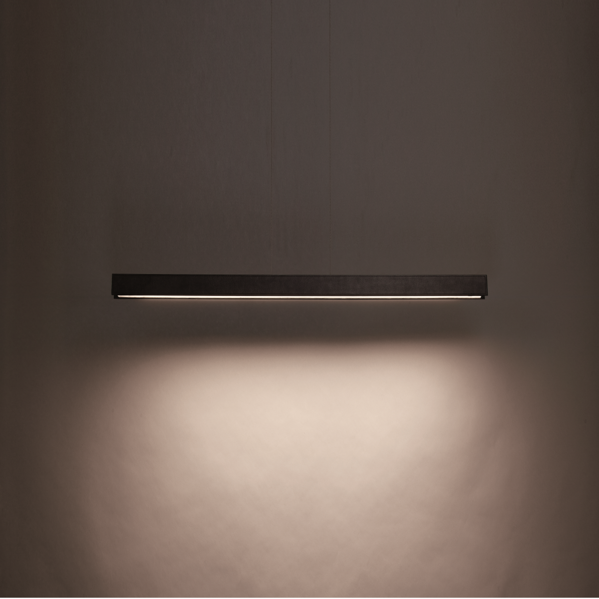 BDSM LED Linear Pendant