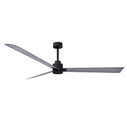 Alessandra 72 Inch Ceiling Fan