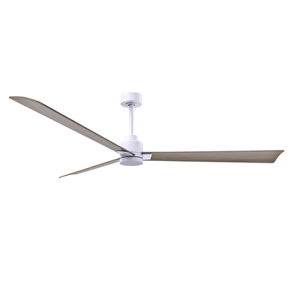 Alessandra 72 Inch Ceiling Fan