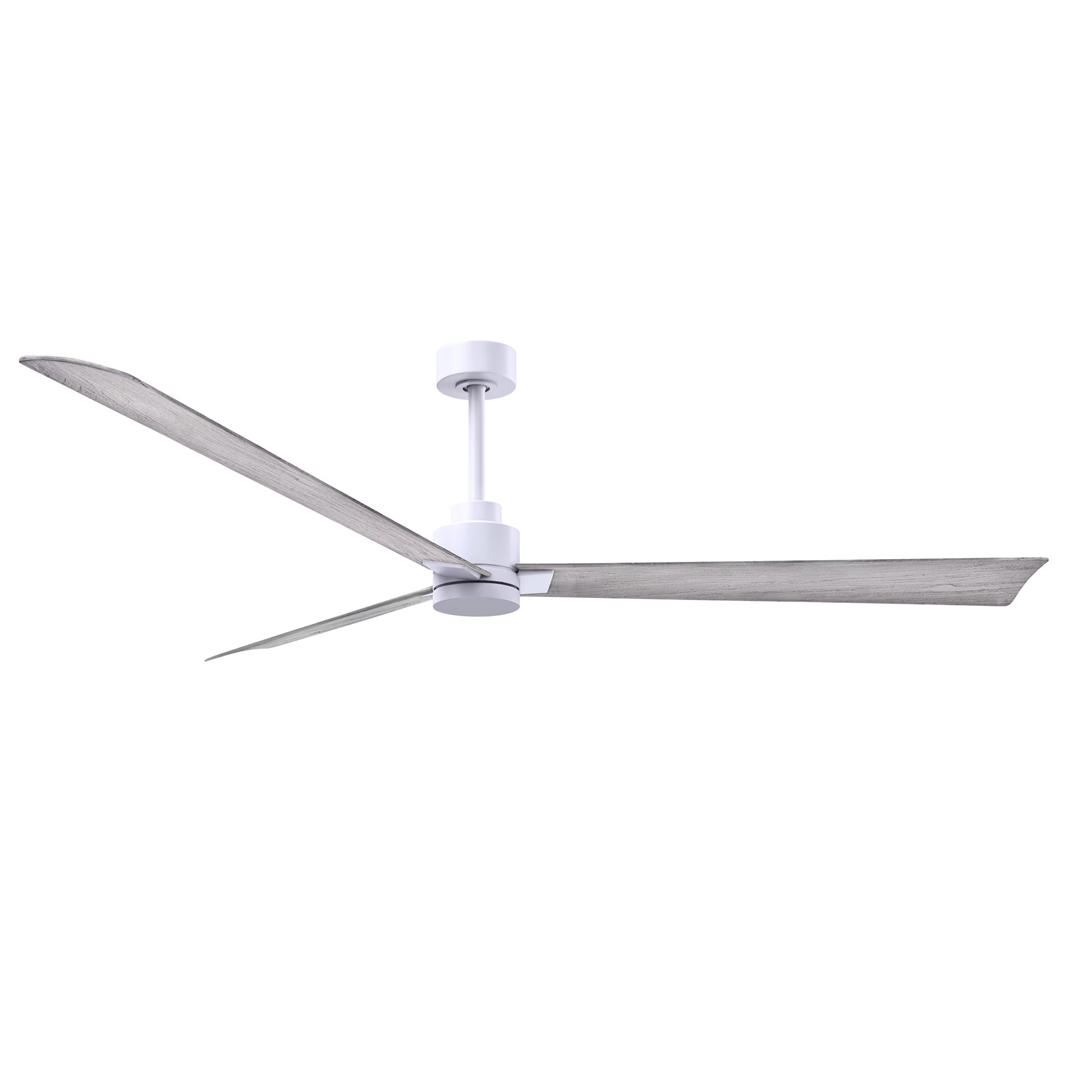 Alessandra 72 Inch Ceiling Fan