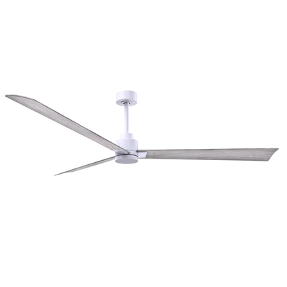Alessandra 72 Inch Ceiling Fan