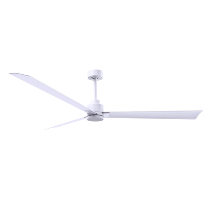 Alessandra 72 Inch Ceiling Fan