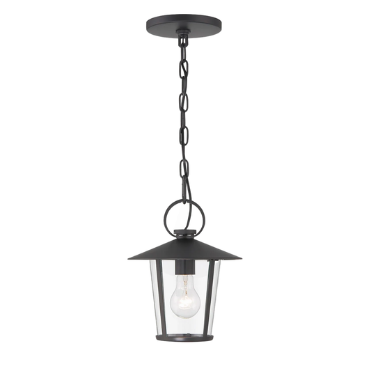 Andover 1 Light Outdoor Chandelier
