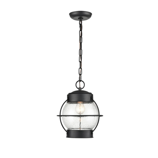 Aremelo One Light Outdoor Hanging Lantern