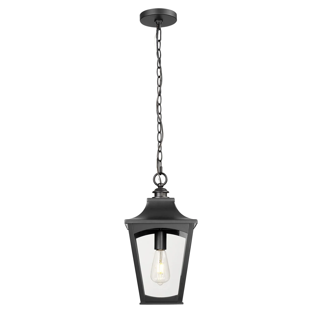 Curry-One Light Outdoor Hanging Lantern