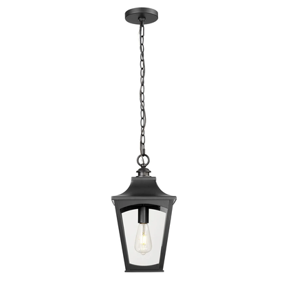 Curry-One Light Outdoor Hanging Lantern