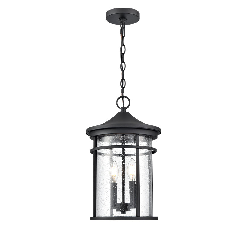 Namath Two Light Outdoor Hanging Lantern