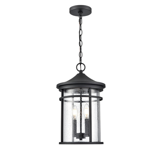 Namath Two Light Outdoor Hanging Lantern