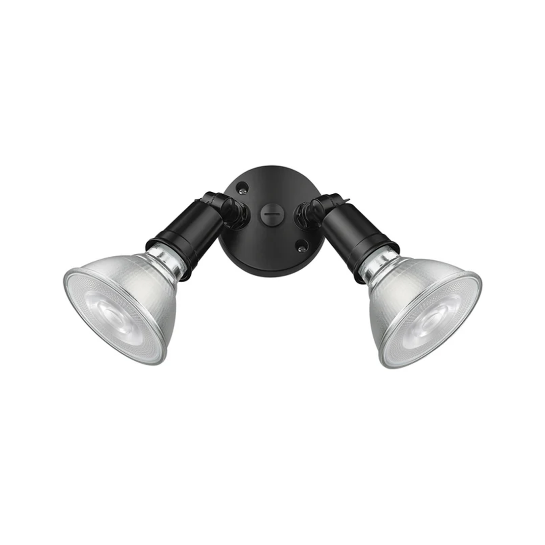 Two Light Security Flood Light