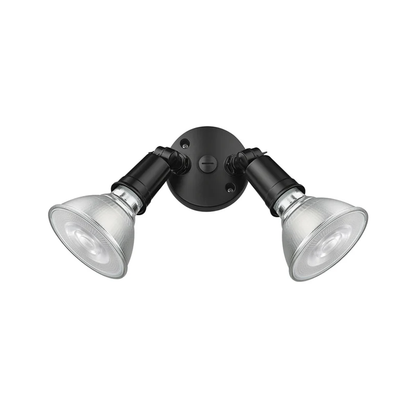 Two Light Security Flood Light