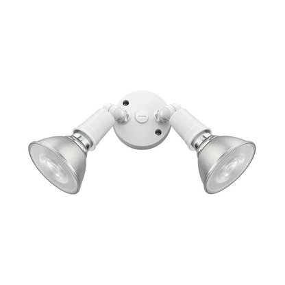 Two Light Security Flood Light