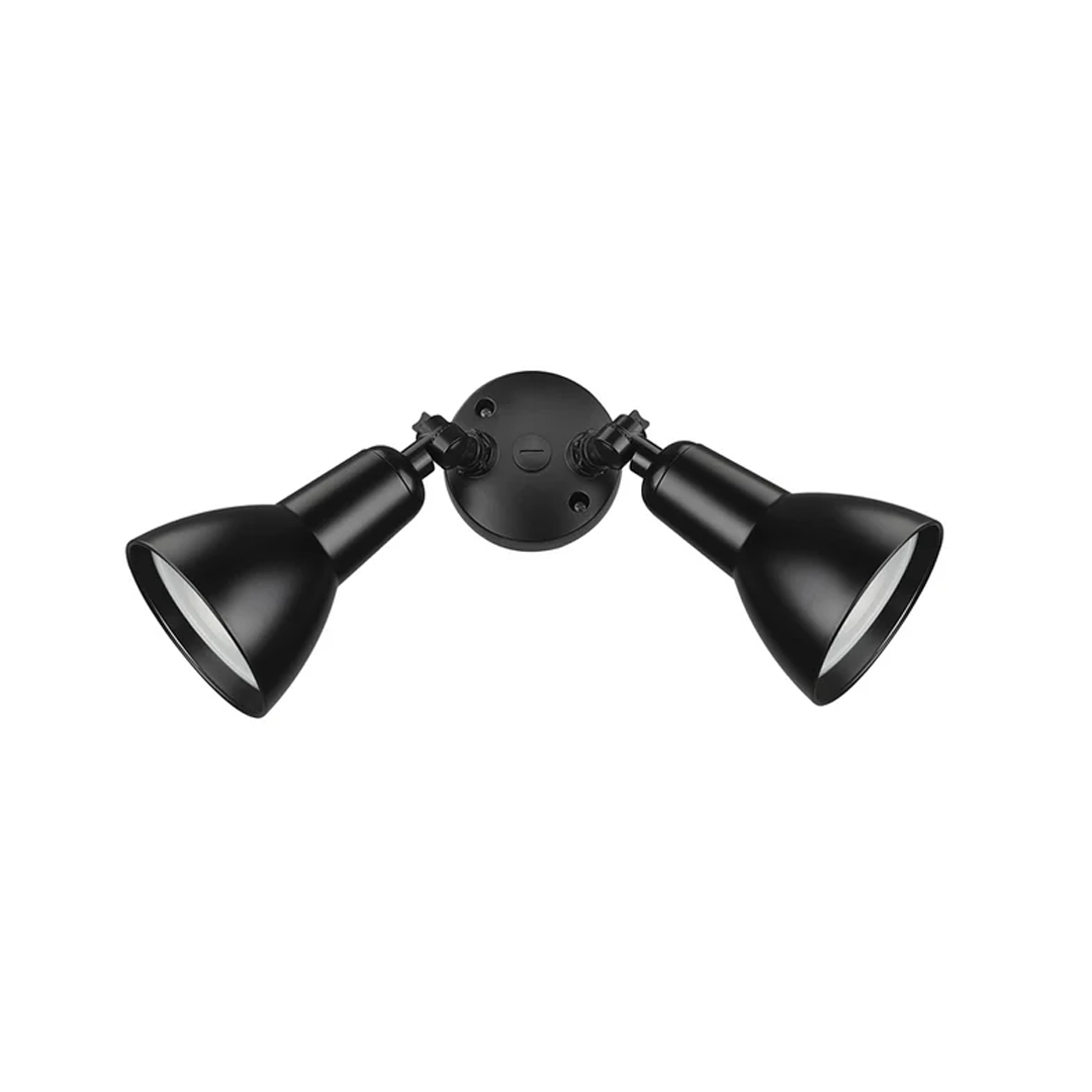 Two Light Security Flood Light